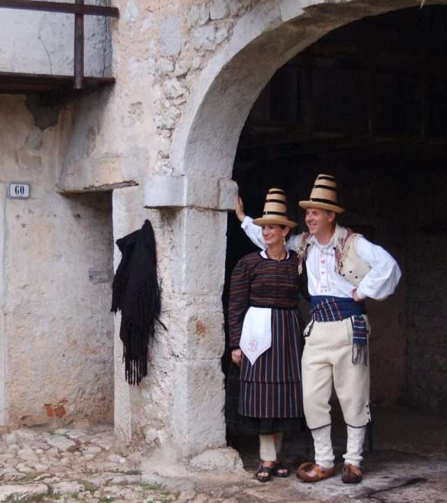 Friulano